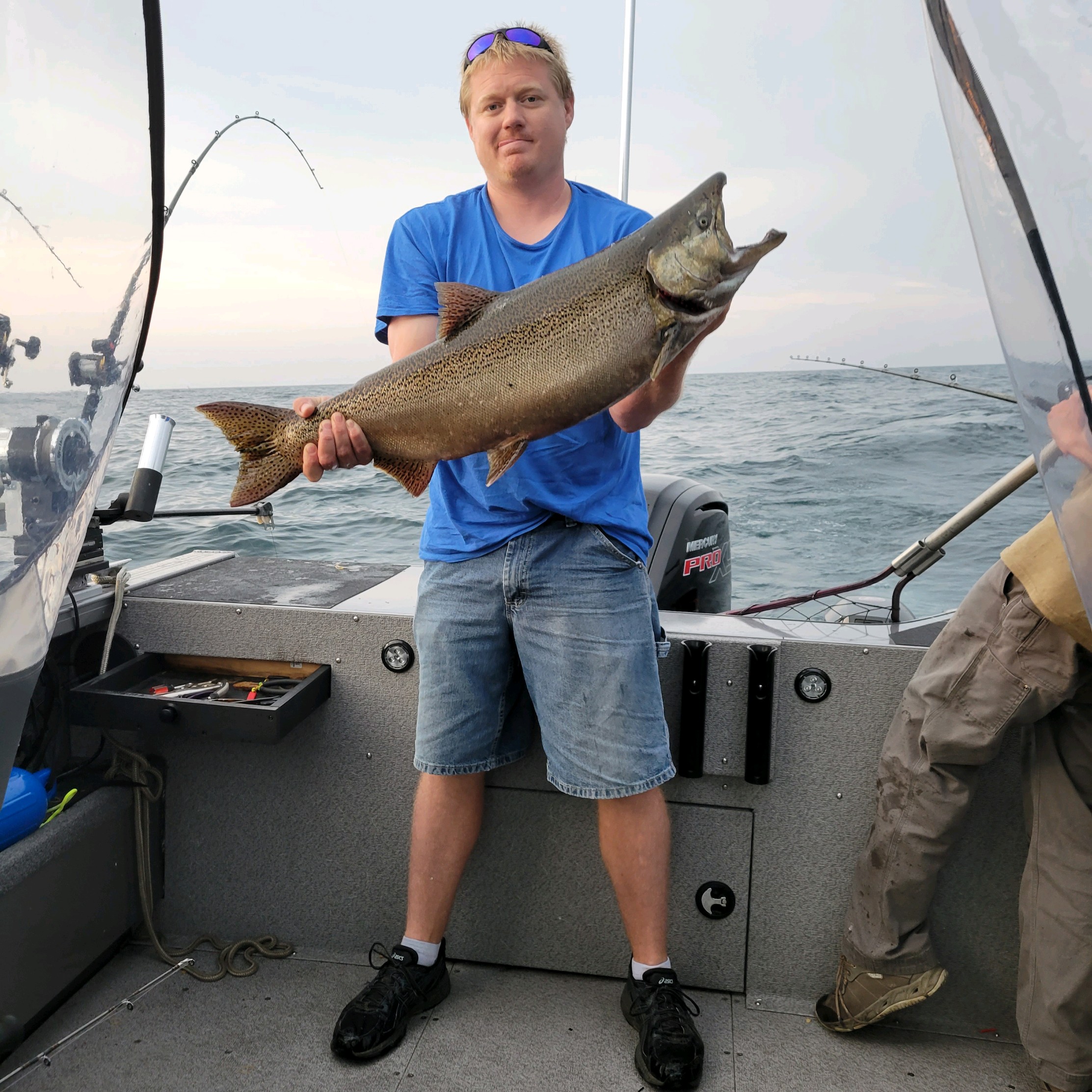 King Salmon from Lake Michigan by SteelMatt